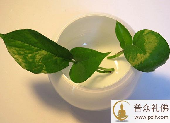 一个人的强大,就是能与不堪的人和事周旋