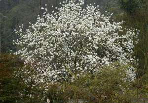 孙亚芳眼中的以色列